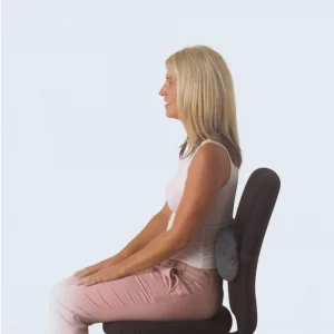 back lumbar support for home office